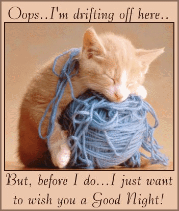 good_night_kitten-1813_zps4a13ac7c.gif