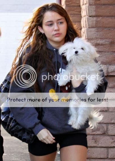 Miley Cyrus Miley Cyrus