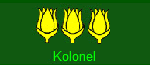 Kolonel KOSTER Kolonel KOSTER