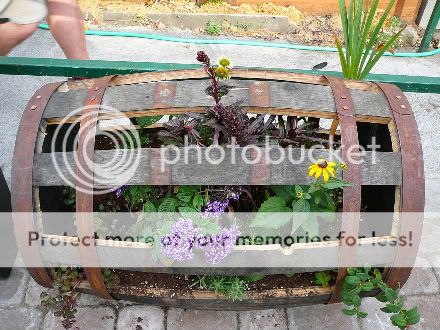 Flower Barrel