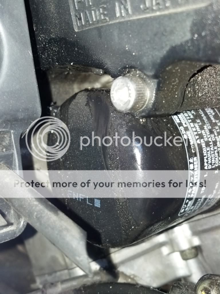 oil filter leak? Yamaha R6 Forum YZFR6 Forums