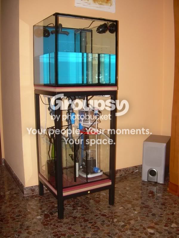 [TodoMarino.com] Proyecto Mini Reef de DYT