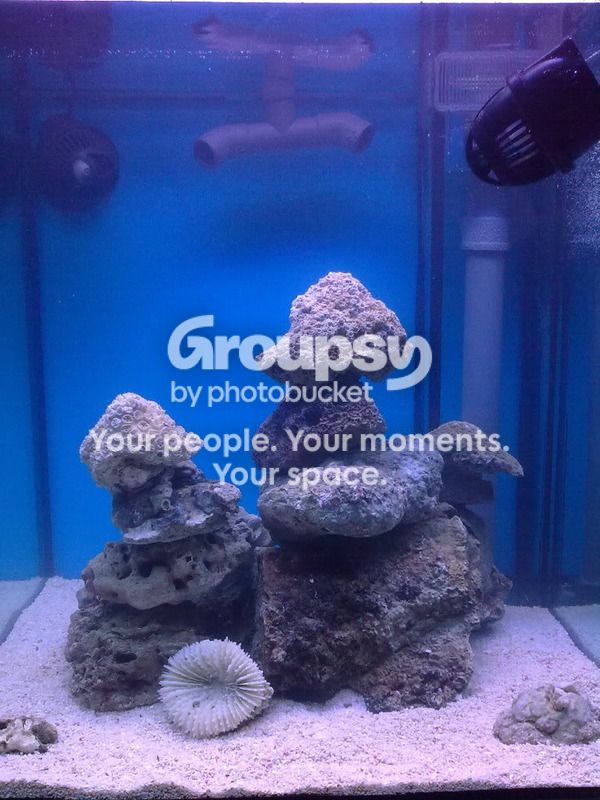 [TodoMarino.com] Proyecto Mini Reef de DYT
