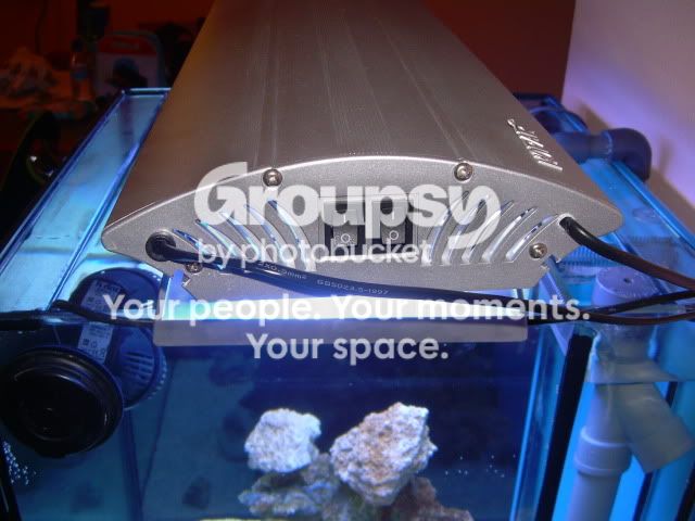 [TodoMarino.com] Proyecto Mini Reef de DYT